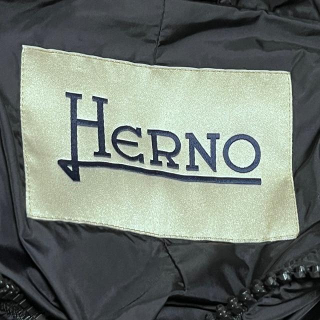 HERNO(ヘルノ)のヘルノ ダウンコート サイズ44 L美品  - 黒 レディースのジャケット/アウター(ダウンコート)の商品写真