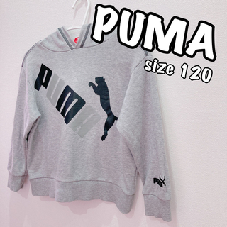 プーマ(PUMA)のPUMA プーマ　フード　スウェット　プルオーバー　120 グレー(ジャケット/上着)