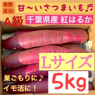 千葉県産サツマイモ　熟成紅はるか　Lサイズ 5kg(野菜)