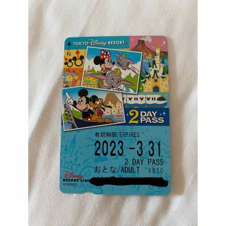 ディズニー(Disney)のディズニーリゾートライン フリーきっぷ 2day (遊園地/テーマパーク)