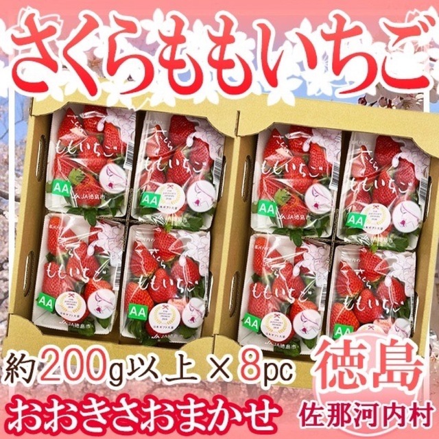 徳島県産 さくらももいちご 8パック 1パック約200g以上 | フリマアプリ ラクマ