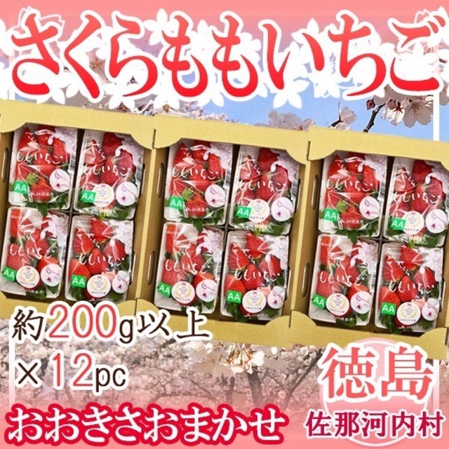 1パック約200g以上　12パック　独特の上品　徳島県産　さくらももいちご