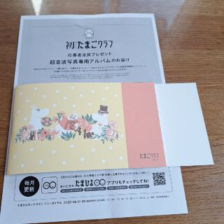 ムーミン(MOOMIN)の【新品未使用】たまひよ　ムーミン　超音波写真専用アルバム(アルバム)