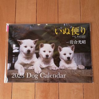 いぬ便り dog ２０２３ カレンダー 岩合光昭 月の満ち欠け 癒し(カレンダー/スケジュール)