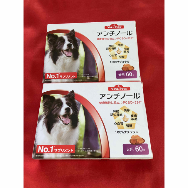 アンチノール 60粒 × 二箱 未開封品