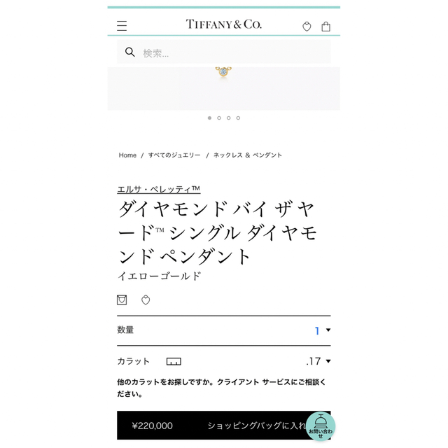 Tiffany & Co.(ティファニー)のティファニー バイ ザ ヤード レディースのアクセサリー(ネックレス)の商品写真