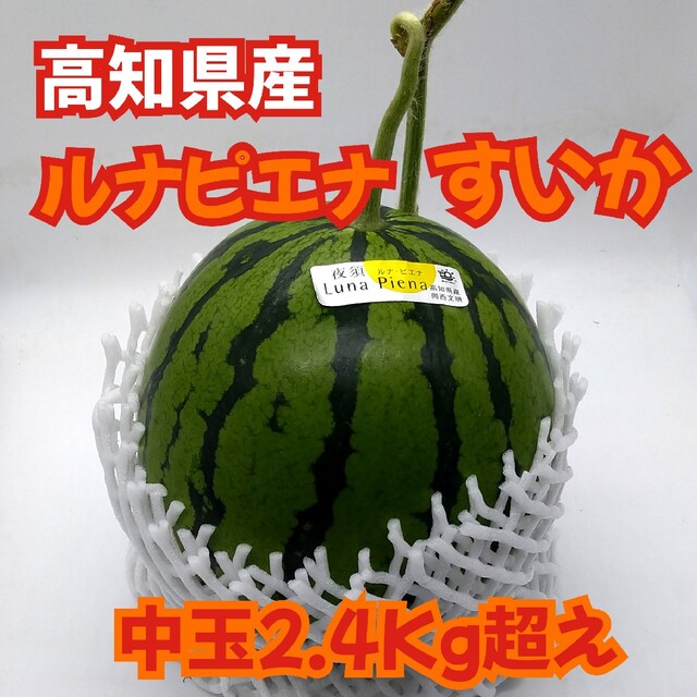 高知県産★冬スイカ とにかく甘い❢サクサク【ルナピエナスイカ】やや小さめ 中玉 食品/飲料/酒の食品(フルーツ)の商品写真