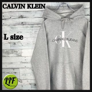 カルバンクライン(Calvin Klein)の【希少‼︎】カルバンクライン ビックロゴ スウェットパーカー グレー 美品(パーカー)