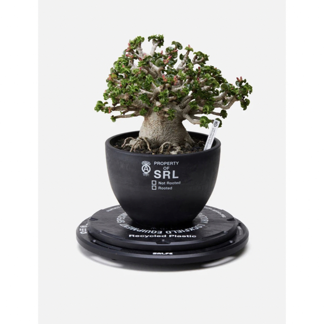 NEIGHBORHOOD SRL LFE DECK2 STOOL MULTI