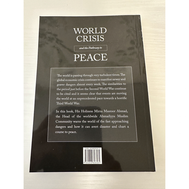 World Crisis and the Pathway to Peace エンタメ/ホビーの本(人文/社会)の商品写真