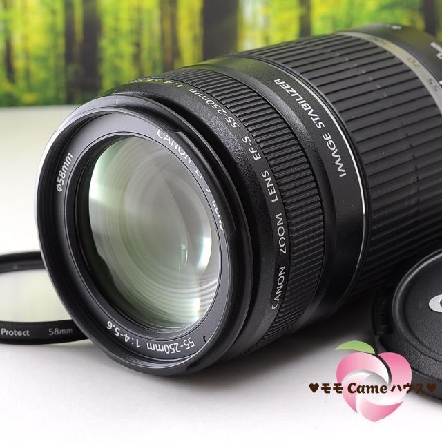 ❤️高性能望遠レンズ❤️Canon EF-S 55-250mm IS STM❤️-