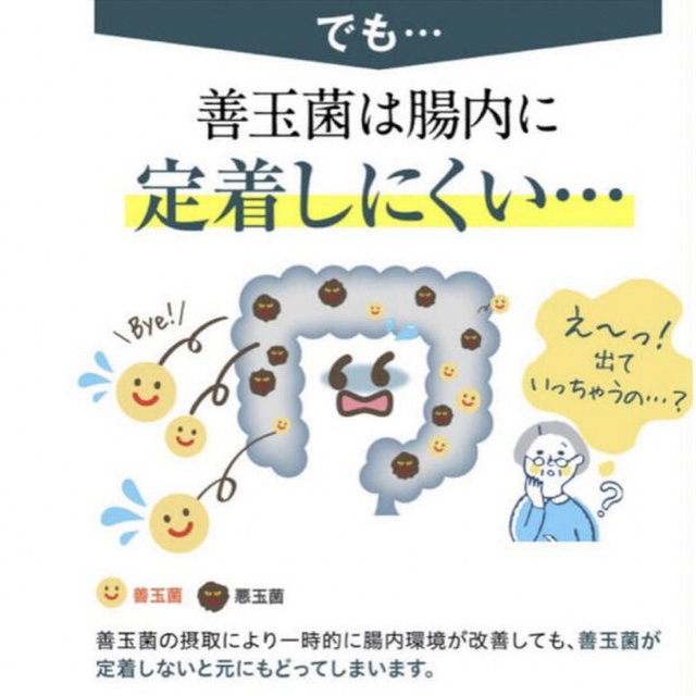 明治(メイジ)の新品☆ 明治薬品 ラクトロン錠 180錠　腹部膨満、整腸、便秘に効果絶大❣️ 食品/飲料/酒の健康食品(ビタミン)の商品写真