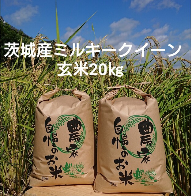 茨城令和4年産ミルキークイーン玄米20㎏米/穀物