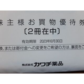 1万円分　カワチ薬品　株主優待券(ショッピング)
