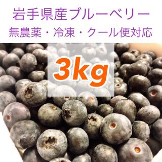 岩手県産ブルーベリー冷凍3kg【無農薬】(フルーツ)