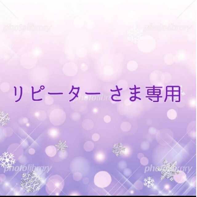 最安値に挑戦中 ㉗リピーターさま 専用です✨ www