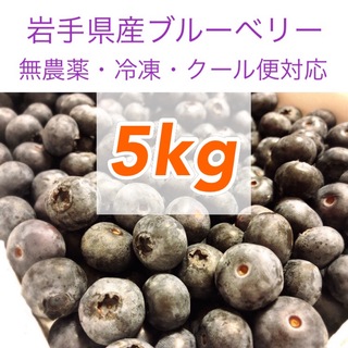 岩手県産ブルーベリー冷凍5kg【無農薬】(フルーツ)