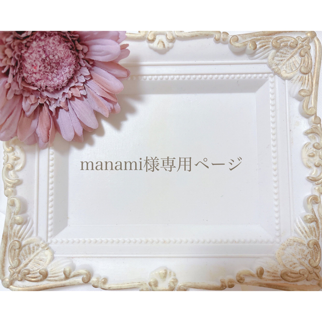 manami様専用ページ その他のその他(オーダーメイド)の商品写真