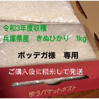 白米　兵庫県産　きぬひかり　1kg(米/穀物)