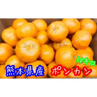 熊本県産 ポンカン 家庭用 10キロ(フルーツ)