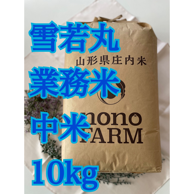 特別栽培米　10kg　山形　令和4年度産　米/穀物　雪若丸　中米