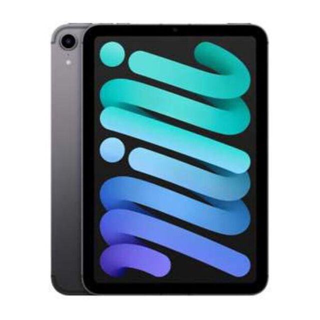美品　SIMfree★Appl iPad mini6 256GB スペースグレー