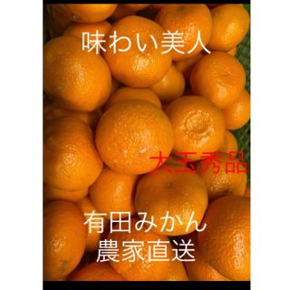 有田みかん農家直送🌟味わい美人　大玉秀品箱込み10キロ(フルーツ)