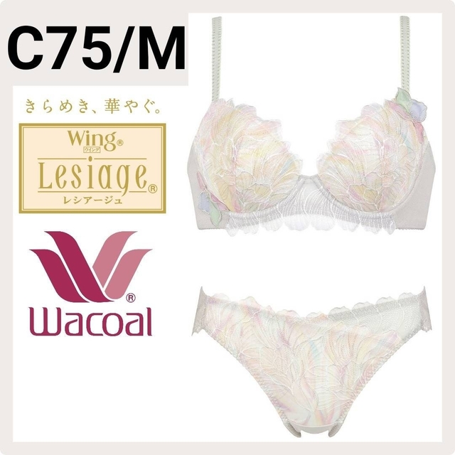 Wacoal Lesiage ブラジャーショーツ 2点-
