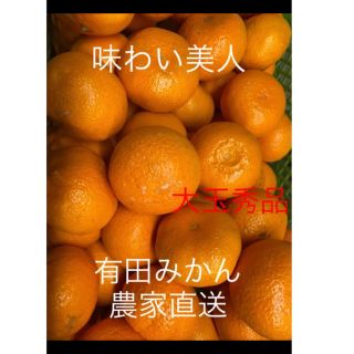 有田みかん農家直送🌟味わい美人大玉秀品箱込み10キロ(フルーツ)