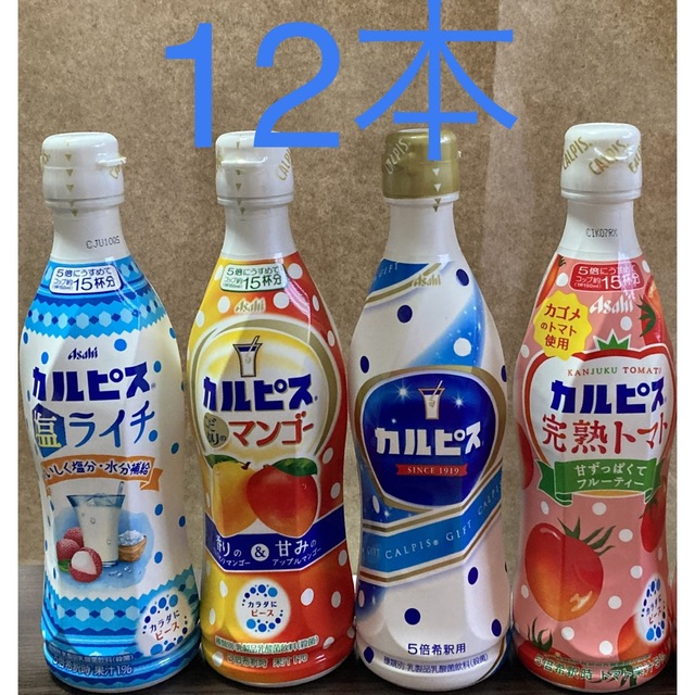 本日限定！カルピス　12本 食品/飲料/酒の飲料(ソフトドリンク)の商品写真