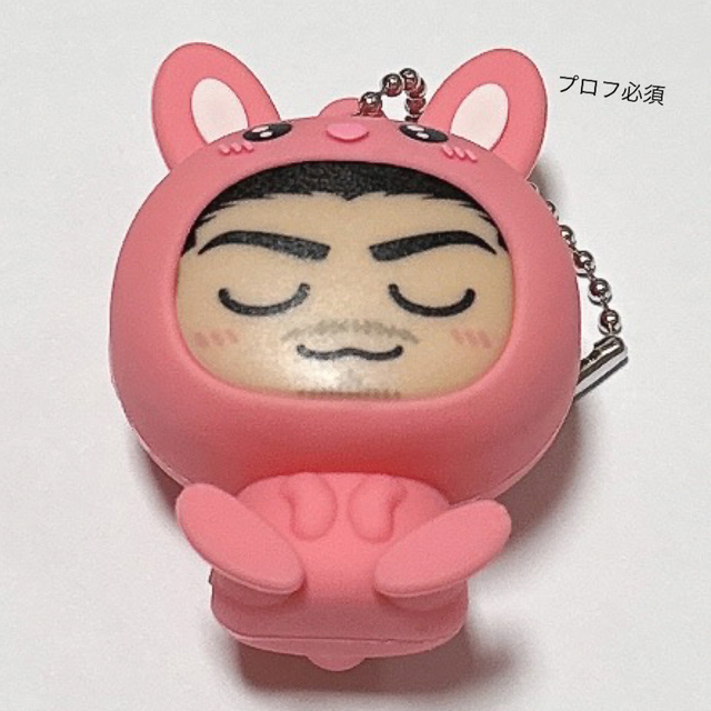 EXILE(エグザイル)のEXILE AKIRA うさぎ レア 着ぐるみキーホルダー エンタメ/ホビーのタレントグッズ(その他)の商品写真