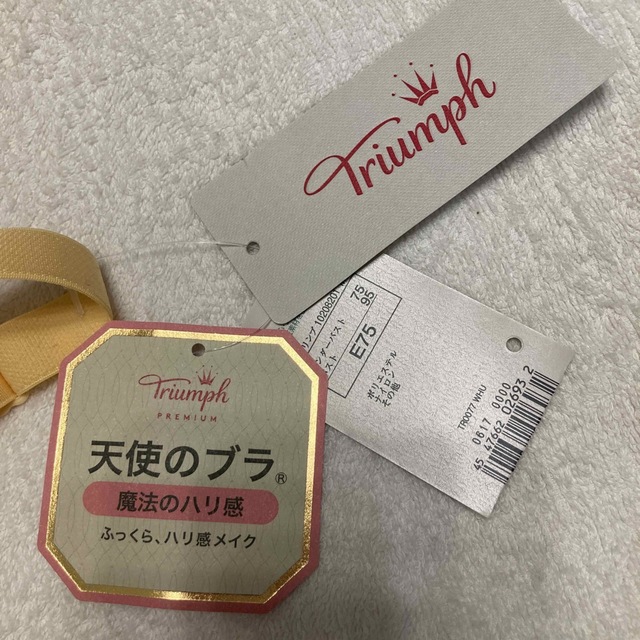 Triumph(トリンプ)のトリンプ　プレミアム　天使のブラ　魔法のハリ感　E75 レディースの下着/アンダーウェア(ブラ)の商品写真