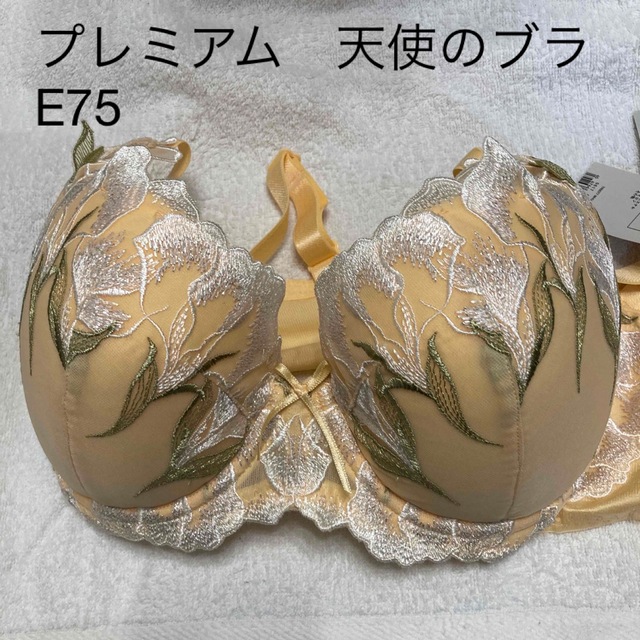 トリンプ　プレミアム　天使のブラ　魔法のハリ感　E75