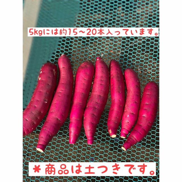 千葉県産サツマイモ　熟成紅はるか　サイズミックス　5kg 食品/飲料/酒の食品(野菜)の商品写真