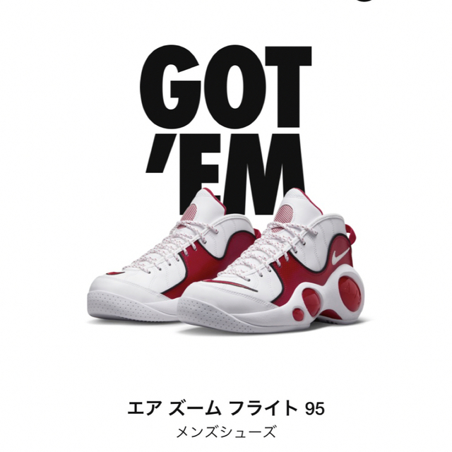 【26cm】NIKE AIR ZOOM FLIGHT95 true red