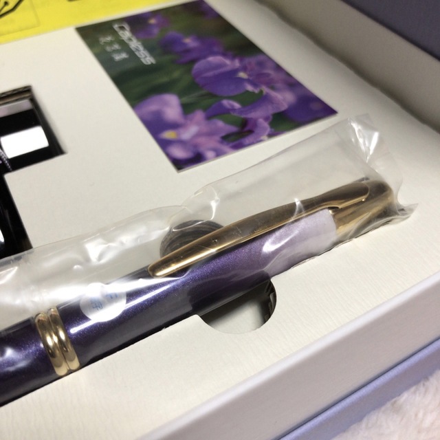 ☆限定 新品未使用 パイロット 万年筆 キャップレス 花菖蒲 ニブF