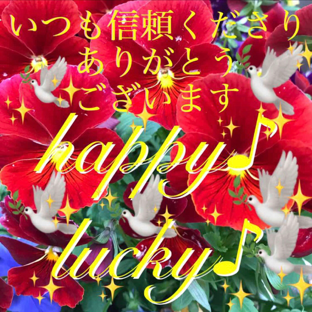 ✨秘符(miwa様 専用)✨[体質改善、便秘が治る、護符、霊符、お守り