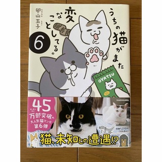 うちの猫がまた変なことしてる。6巻(その他)