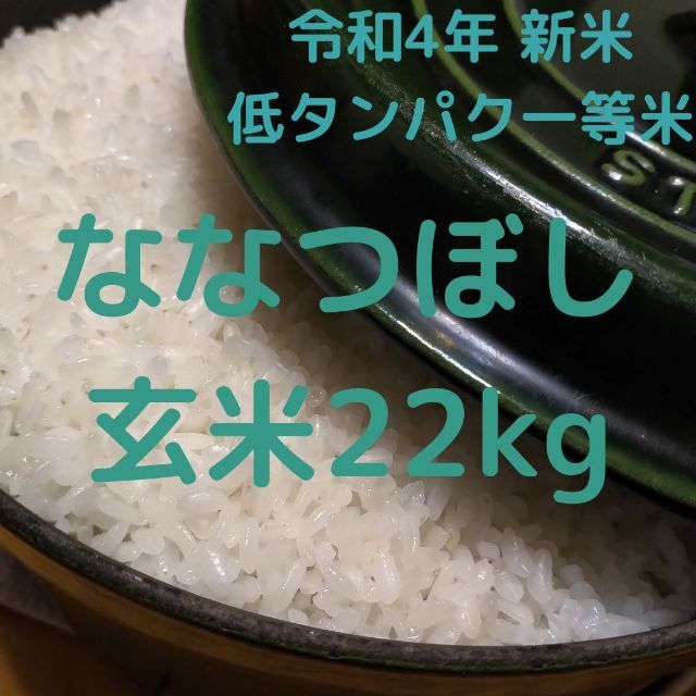 減農薬令和4年 新米 北海道 中富良野産 ななつぼし 玄米 22kg