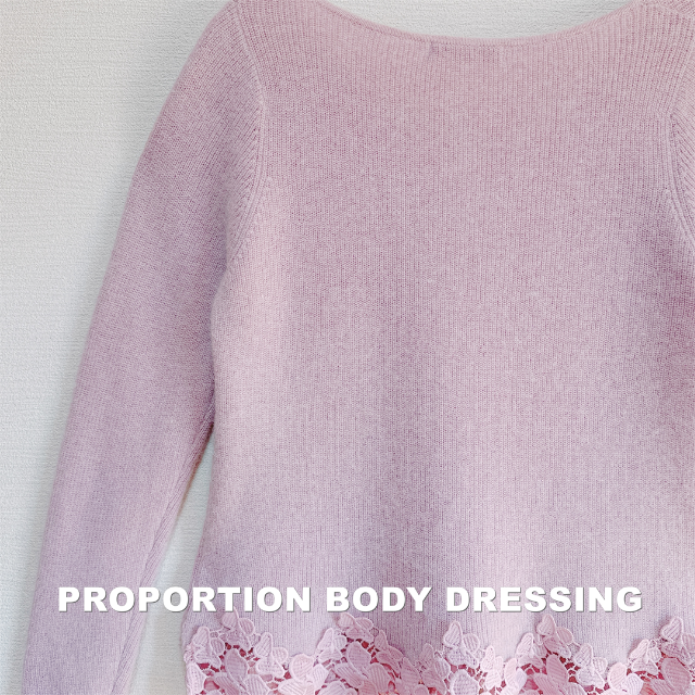 PROPORTION BODY DRESSING(プロポーションボディドレッシング)の【BODY DRESSING】アンゴラ混 裾レース切替 ニット タグ付未使用 レディースのトップス(ニット/セーター)の商品写真