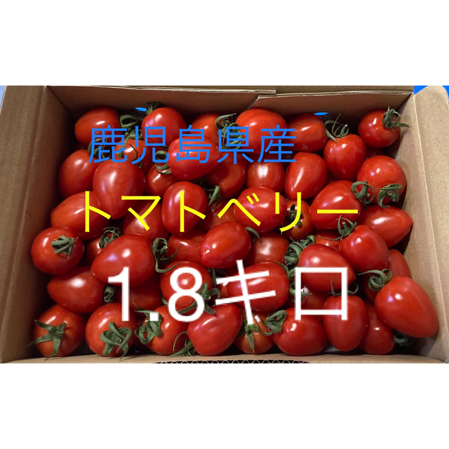 鹿児島県産ミニトマト【トマトベリー】 食品/飲料/酒の食品(野菜)の商品写真