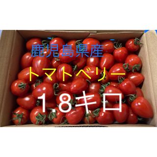 鹿児島県産ミニトマト【トマトベリー】(野菜)