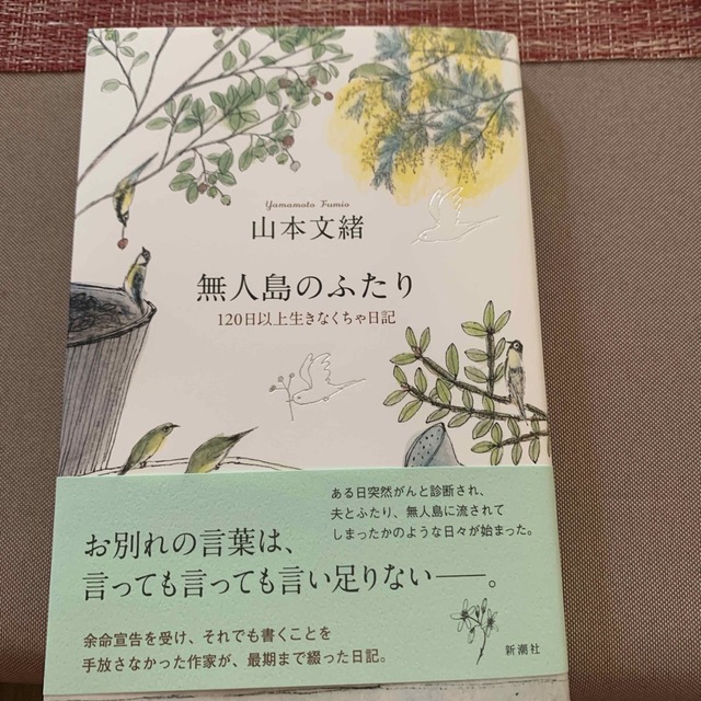 無人島のふたり １２０日以上生きなくちゃ日記 エンタメ/ホビーの本(文学/小説)の商品写真