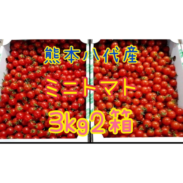 熊本八代産ミニトマト3kg 2箱 食品/飲料/酒の食品(フルーツ)の商品写真