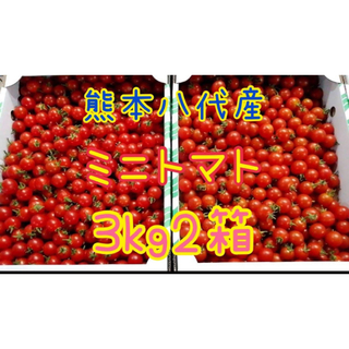 熊本八代産ミニトマト3kg 2箱(フルーツ)