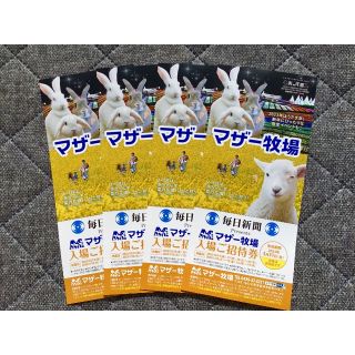 ’23.３/ 31 迄 ◆ 千葉県 マザー牧場 ◆ 入園券４枚 set！！(動物園)