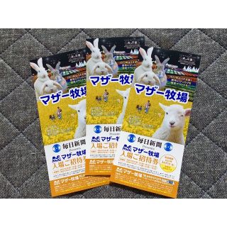 ’23.３/ 31 迄 ⭐︎ 千葉県 マザー牧場 ⭐︎ 入園券３枚セットです！(動物園)
