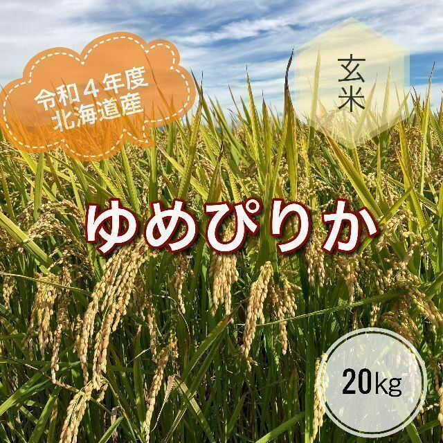 令和４年度北海道産ゆめぴりか玄米20キロ農家直送　米/穀物