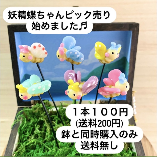 〜そのまま飾れる〜多肉植物寄せ植え(樹脂粘土レジン)蝶々