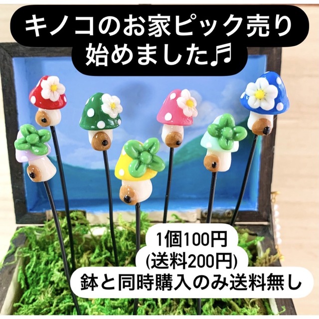 〜そのまま飾れる〜多肉植物寄せ植え(樹脂粘土レジン)